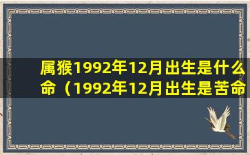 属猴1992年12月出生是什么命（1992年12月出生是苦命猴还 🐅 是富猴）